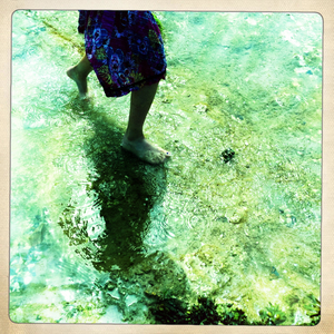 Hip 333546513.075173