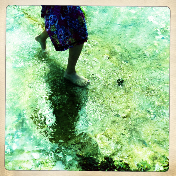 Hip 333546513.075173