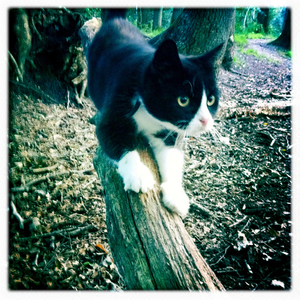 Hip 334607085.968310