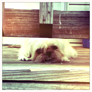 Hip 333310806.833434