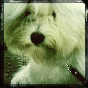 Hip 335010939.351783