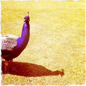 Hip 328370366.051117