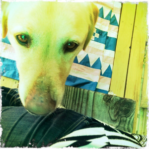 Hip 334988860.575675