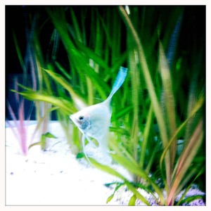 Hip 334980462.402527