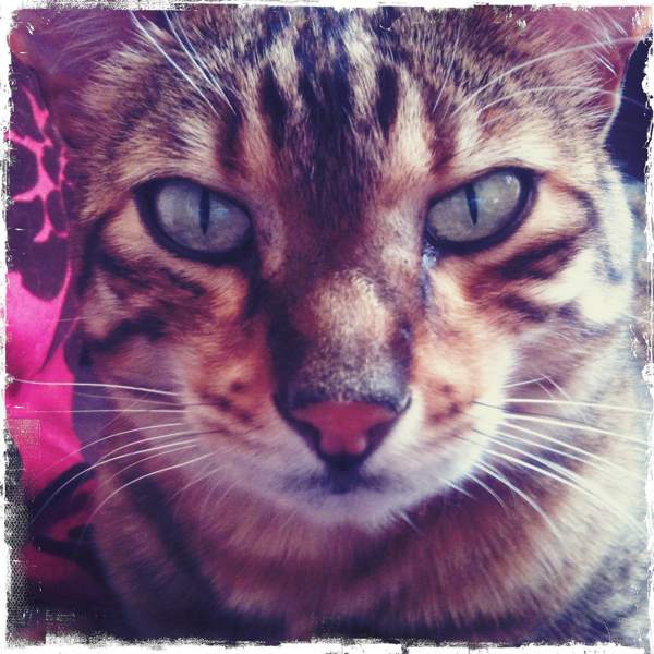 Hip 326919031.640496