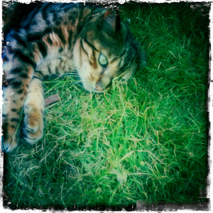 Hip 328810565.536687