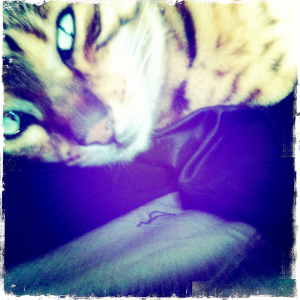 Hip 327767384.067089