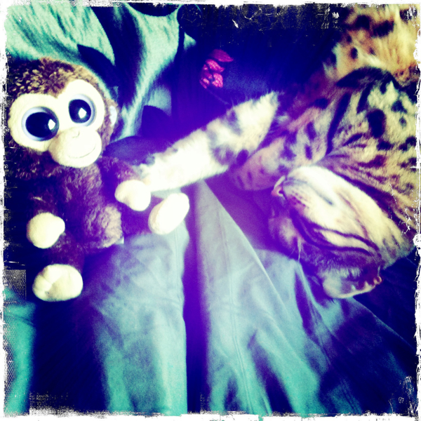 Hip 327778799.518946