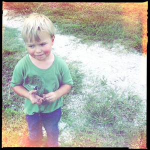 Hip 334789142.158564