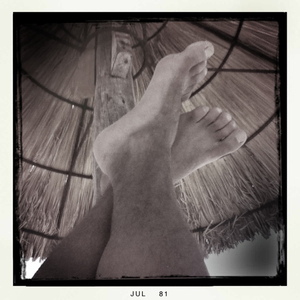 Hip 331997454.244138