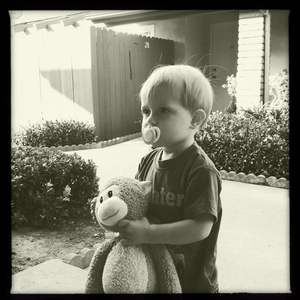 Hip 335029345.731239