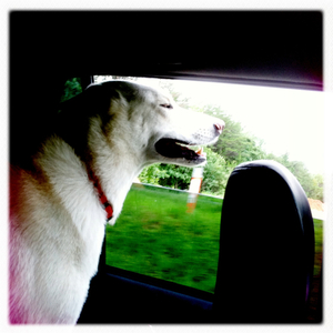 Hip 335033125.466649