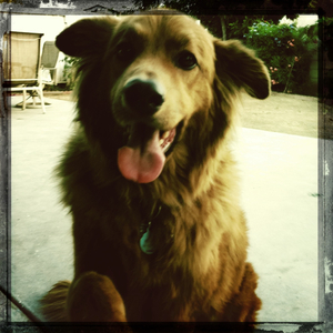 Hip 334895292.265430