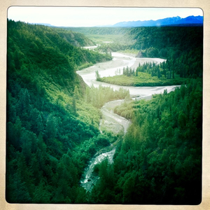 Hip 334884017.893054