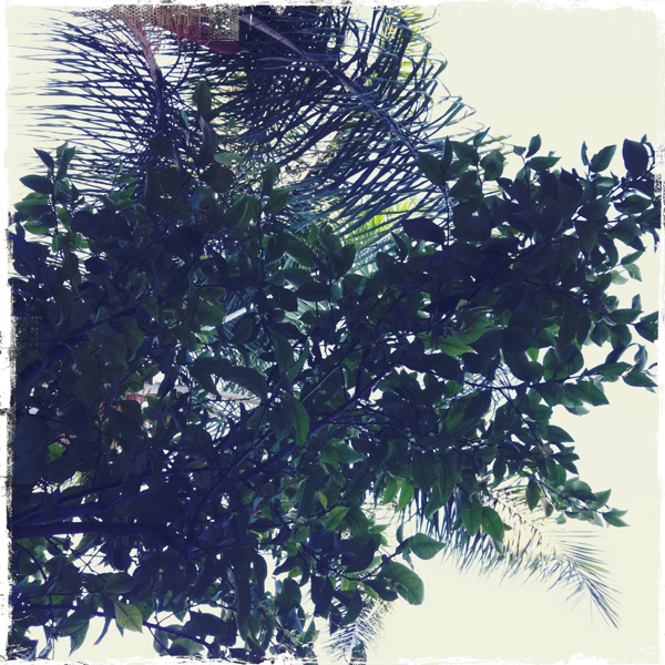 Hip 335037887.275858