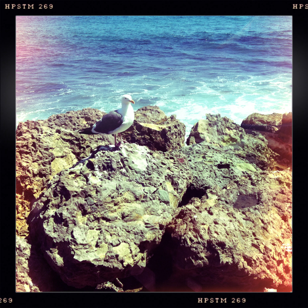 Hip 334878799.118623