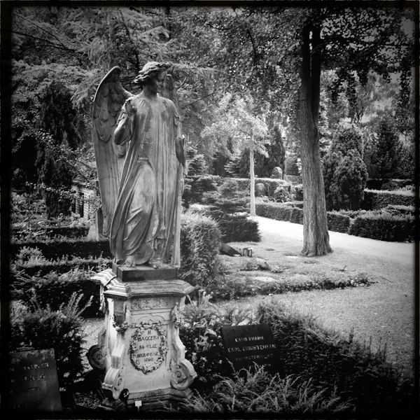 Hip 334936321.406009