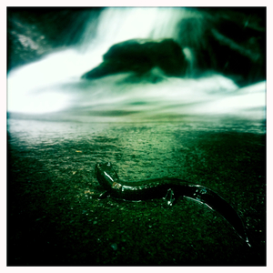 Hip 334958876.001735