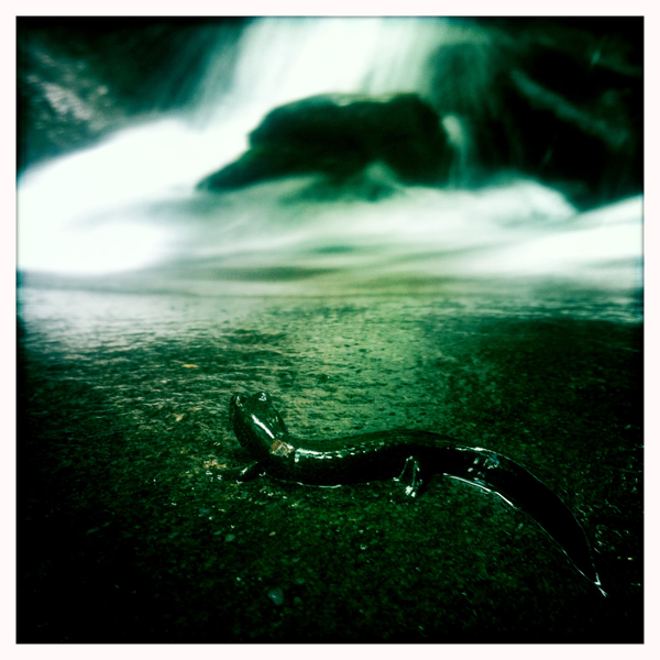 Hip 334958876.001735