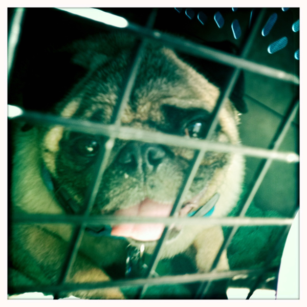 Hip 335048056.791327