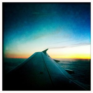 Hip 333491015.313017