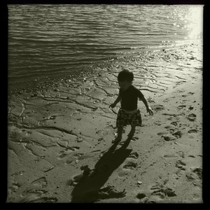 Hip 334876198.298473