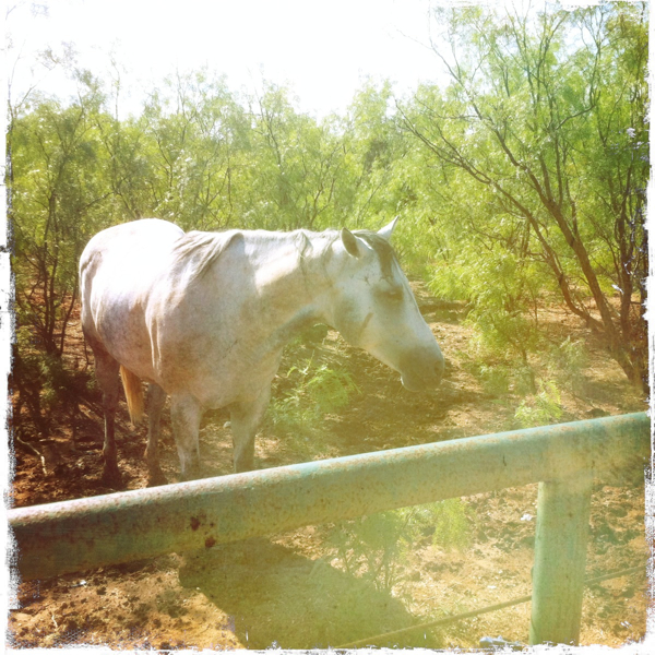 Hip 335053091.599040