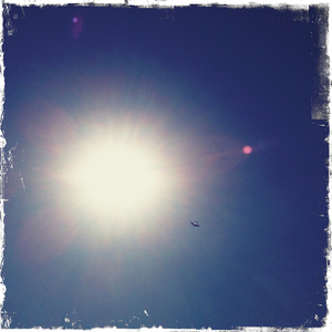 Hip 305385835.939231