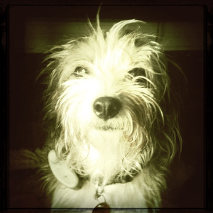 Hip 335055209.903328