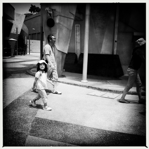 Hip 334989856.524104