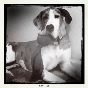 Hip 309042895.948829