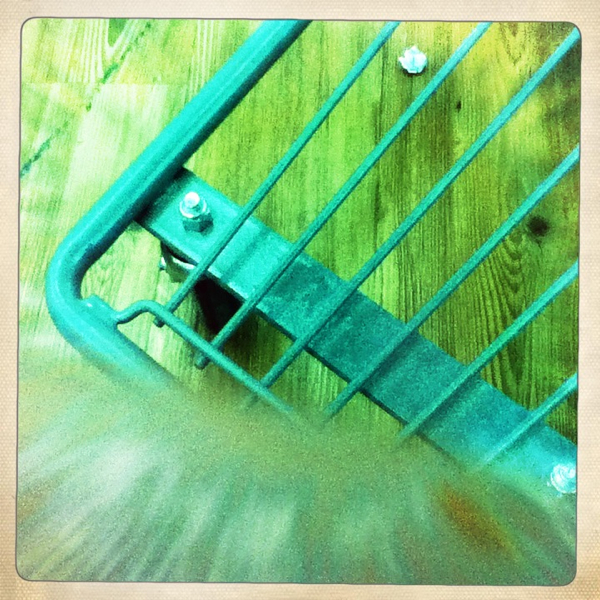 Hip 331857696.419717