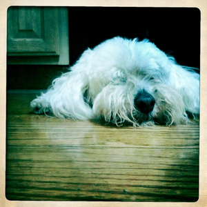 Hip 327807191.414664