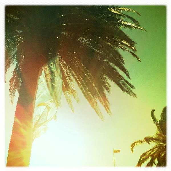 Hip 319276334.916666