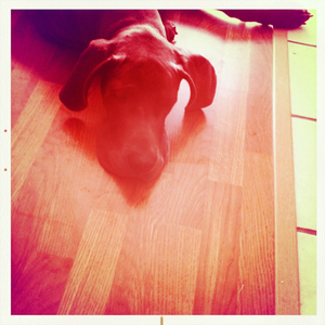 Hip 335061500.837067