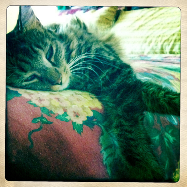 Hip 335033943.989739