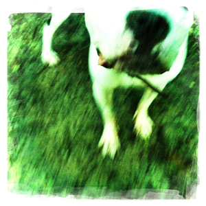 Hip 334973648.271680