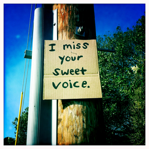 Hip 335062946.599395