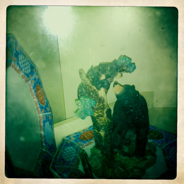 Hip 332246499.925626