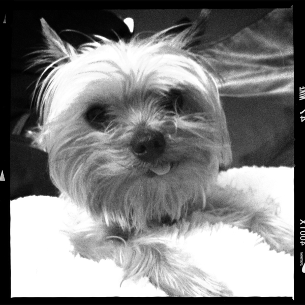 Hip 335071881.383891