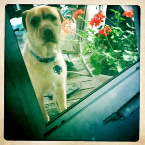 Hip 334451401.135723