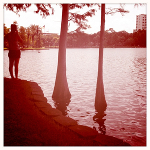 Hip 335033184.266595