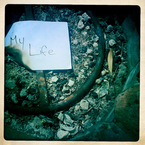 Hip 335052130.316744