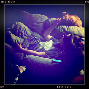 Hip 335070073.754930