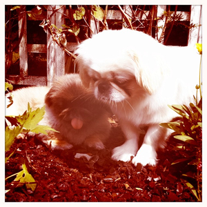 Hip 332018810.015432