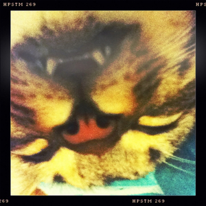 Hip 335073975.782335