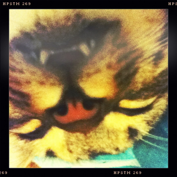 Hip 335073975.782335