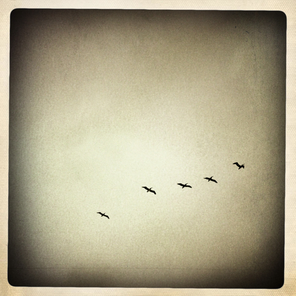 Hip 333655510.852381