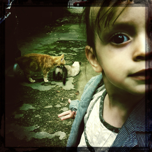 Hip 335034234.297550