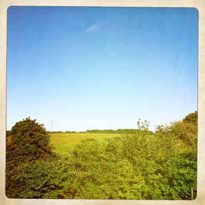 Hip 335086596.807806